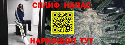 гидра Лесосибирск