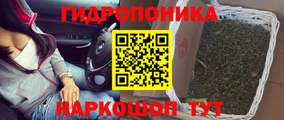 гидра Лесосибирск