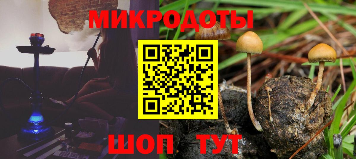 Псилоцибиновые грибы GOLDEN TEACHER Петрозаводск